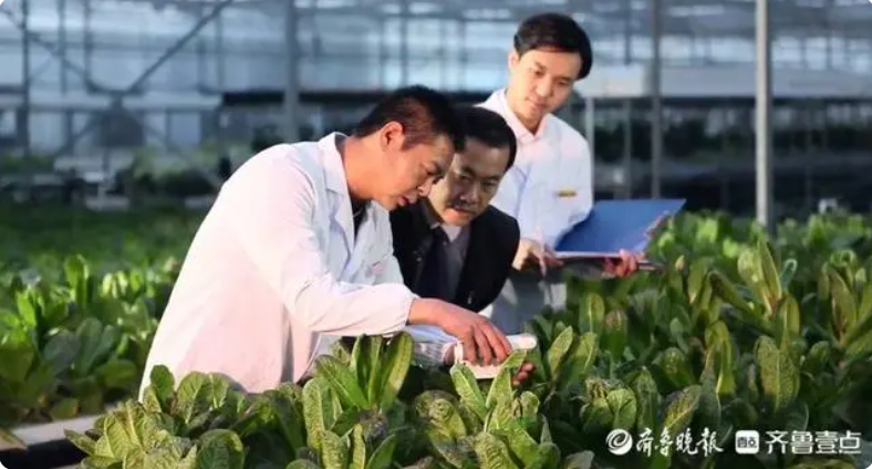 QQ截图20240319102220