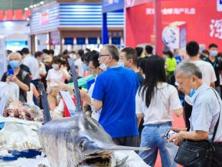 2024年安徽合肥国际现代渔业展-安徽渔博会