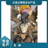 生蚝 人工养殖 海水 冷藏 整箱 成活率≥99 食用农产品